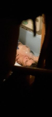VideoCapture_20250124-215830.jpg