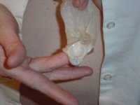 Wedding ring play 2.jpg