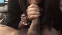 nbz04.gif