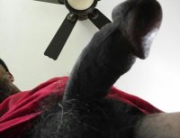 fan pic.jpg