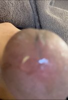F9C9CE4E-07BC-4165-BE4A-B793882A8848.jpeg