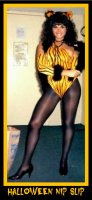on-the-prowl_26271668349_o.jpg
