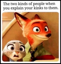 23196485.png