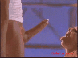 R521b4fbcf0fe296f7d61cc81acea96cb.gif
