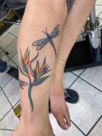 IMG_2578.JPG