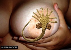 alien_09.jpg