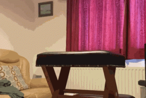 cane3.gif