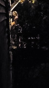 Screenshot_20220403-191933_Video Player.jpg