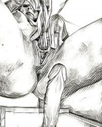 040933.jpg