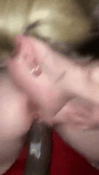 MediumslatebluePolitePondskater-mobile(1).gif