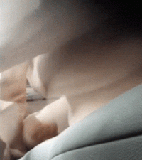 01A7A46C-CCB6-4E71-8B1E-9D5F9AA900AD.gif