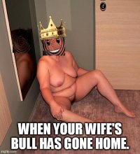 6iq79g.jpg