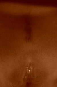 2015-02-24_12.04.53-1.jpg