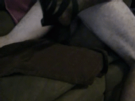 carol (1).gif
