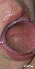 3FC1F9C8-13C2-4DDB-8347-AB897BF52105.gif