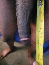 soft 6 inch.jpg