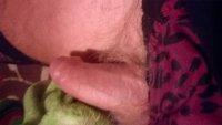 WP_20180520_02_05_23_Pro.jpg