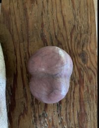 image1.jpeg