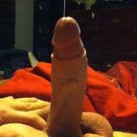 BasV