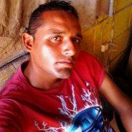 Bullluis