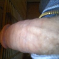 sdanimal619