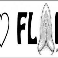 FLAPSPLITTER