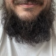 Bongoboy
