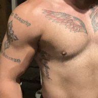 gym-dad-bull