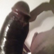 RandySP