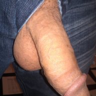 TheDenverBull