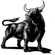 Bull_Daddy