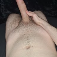 NewBull