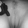 Cuckold in Training