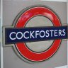 cockfoster