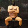 PigBullOne