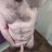 Nwmobull85