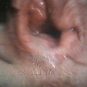 wife creampied