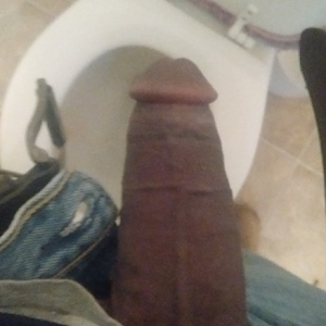 my cock