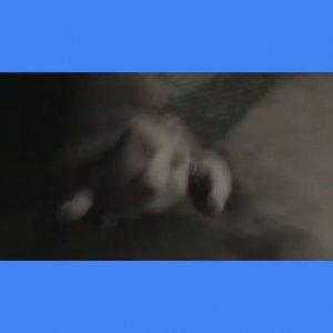 HUSBANDS COCK