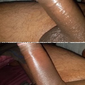 India Bull For Couples