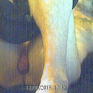 showing balls again