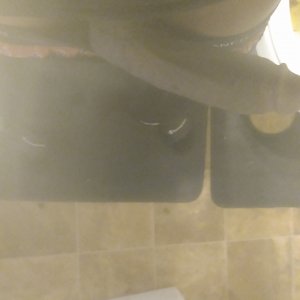 IMG_20200229_122434107.jpg