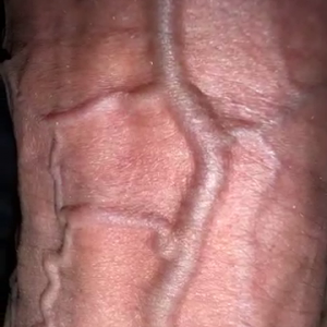 Cock veins pumping