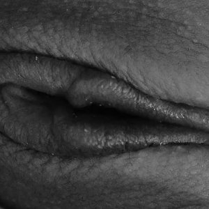 Pussy 05