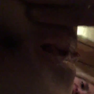 Xvideos_cheating_wife_with_neighbor_HD.mp4