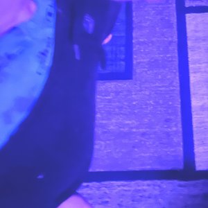 IMG_5109.jpeg
