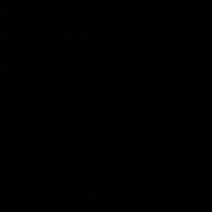 pussy fuck from behind, close up