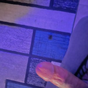 IMG_7037.jpeg