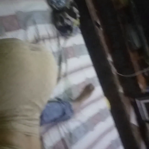 VID_20221025_01113.mp4