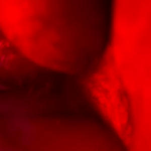 IMG_9931.MP4